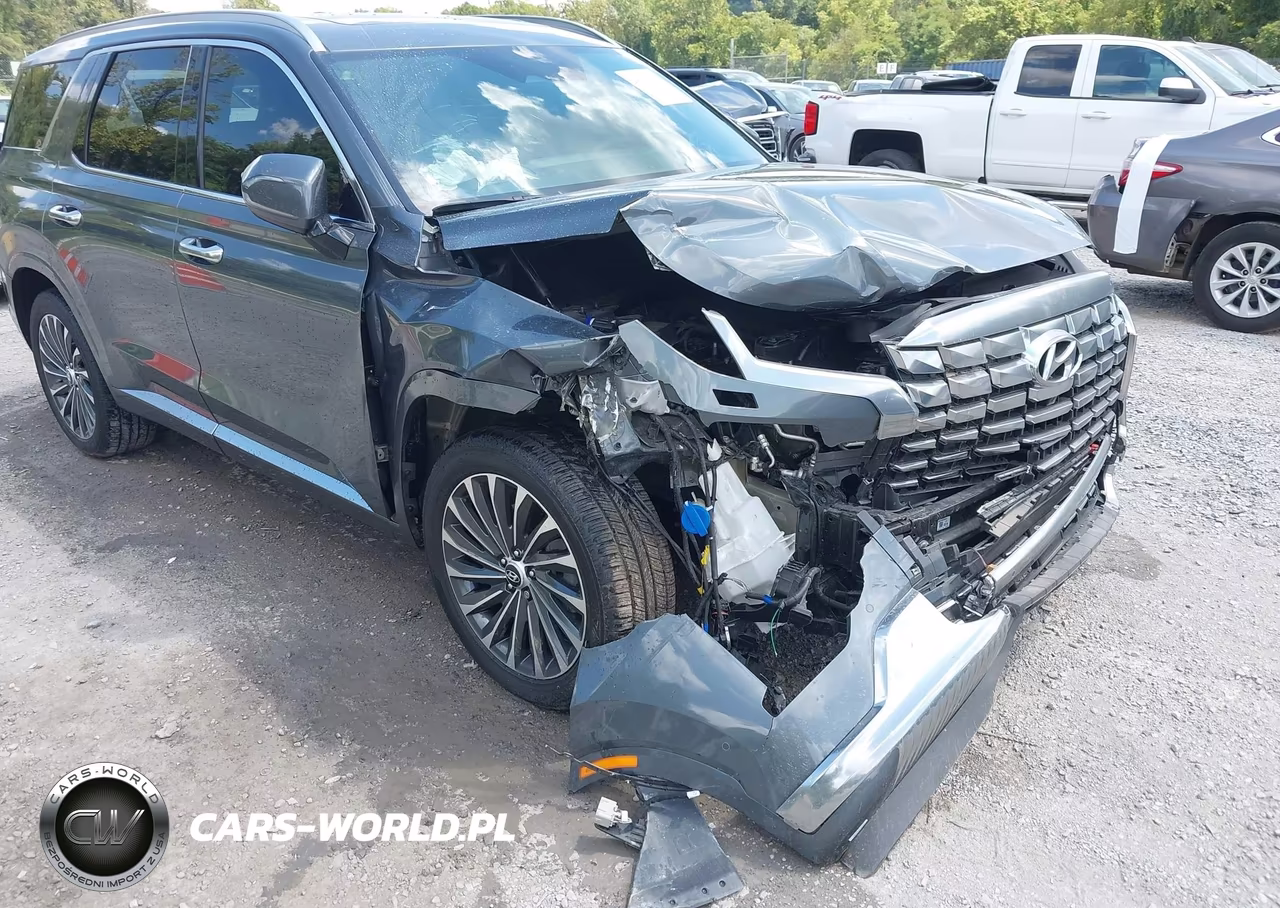 2025 Hyundai Palisade Calligraphy VIN:KM8R7DGE6SU807741 - 6