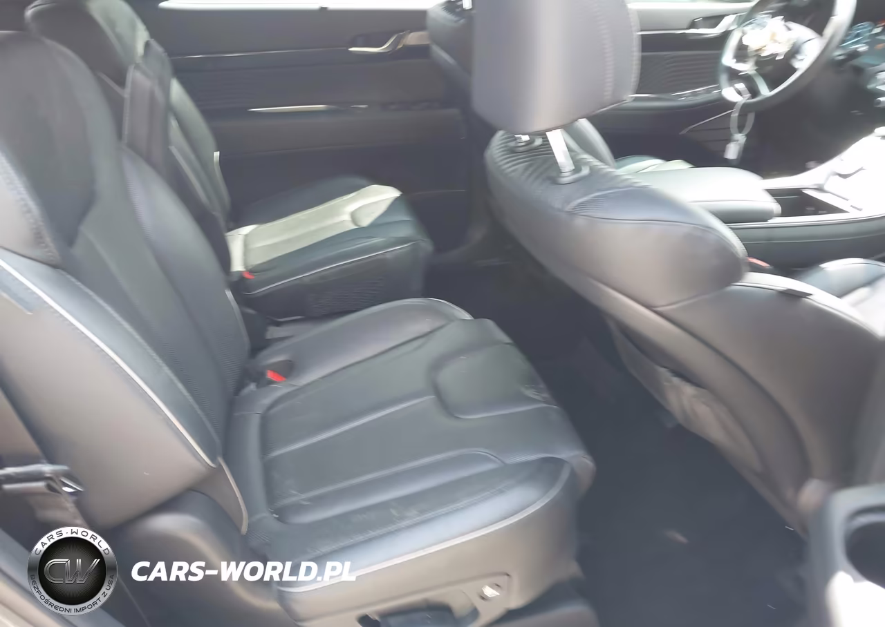 2025 Hyundai Palisade Calligraphy VIN:KM8R7DGE6SU807741 - 8
