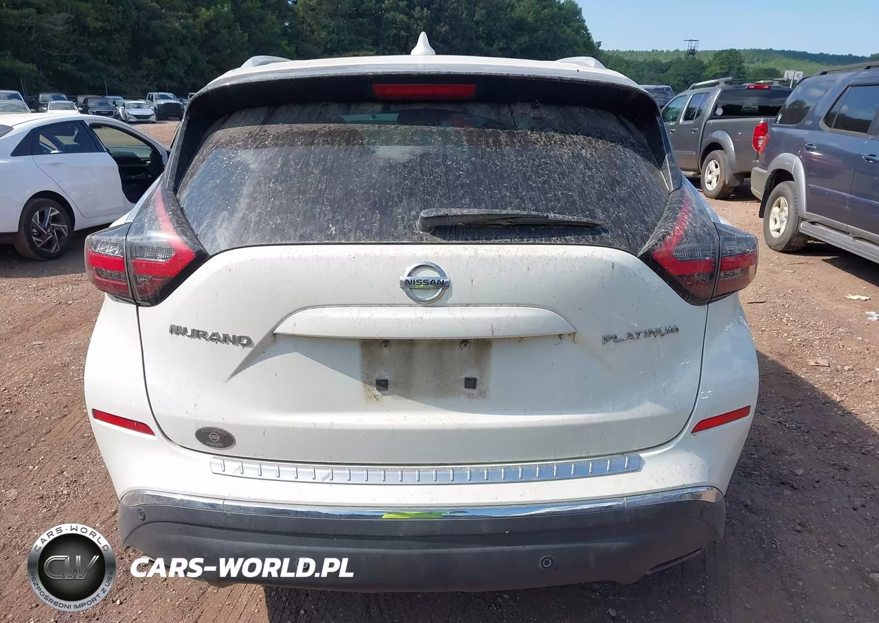 2020 Nissan Murano Platinum Fwd VIN:5N1AZ2DJ1LN162456 - 16