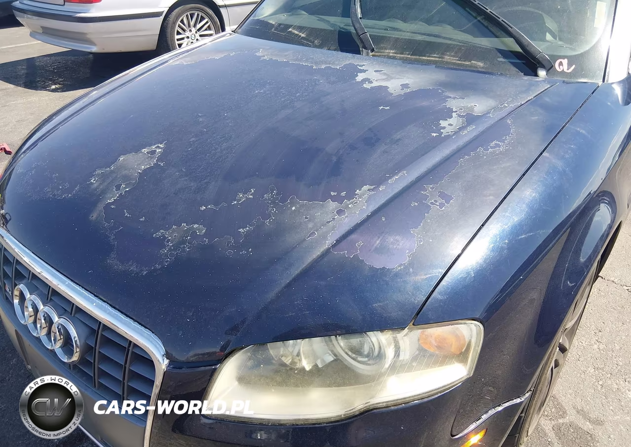 2007 Audi S4 Quattro Cabriolet VIN:WUARL48H27K900738 - 6
