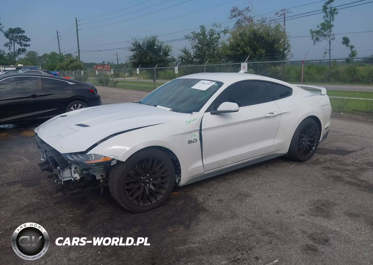 2021 Ford Mustang Gt Premium Fastback VIN:1FA6P8CF5M5104034 - 2