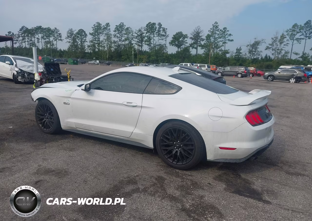 2021 Ford Mustang Gt Premium Fastback VIN:1FA6P8CF5M5104034 - 3