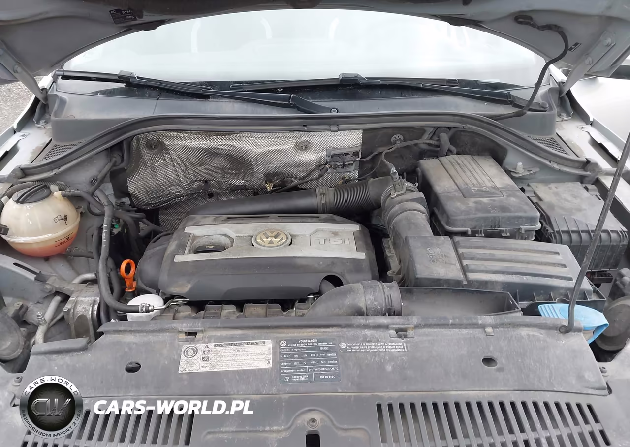 2009 Volkswagen Tiguan Sel VIN:WVGBV75N59W528095 - 10