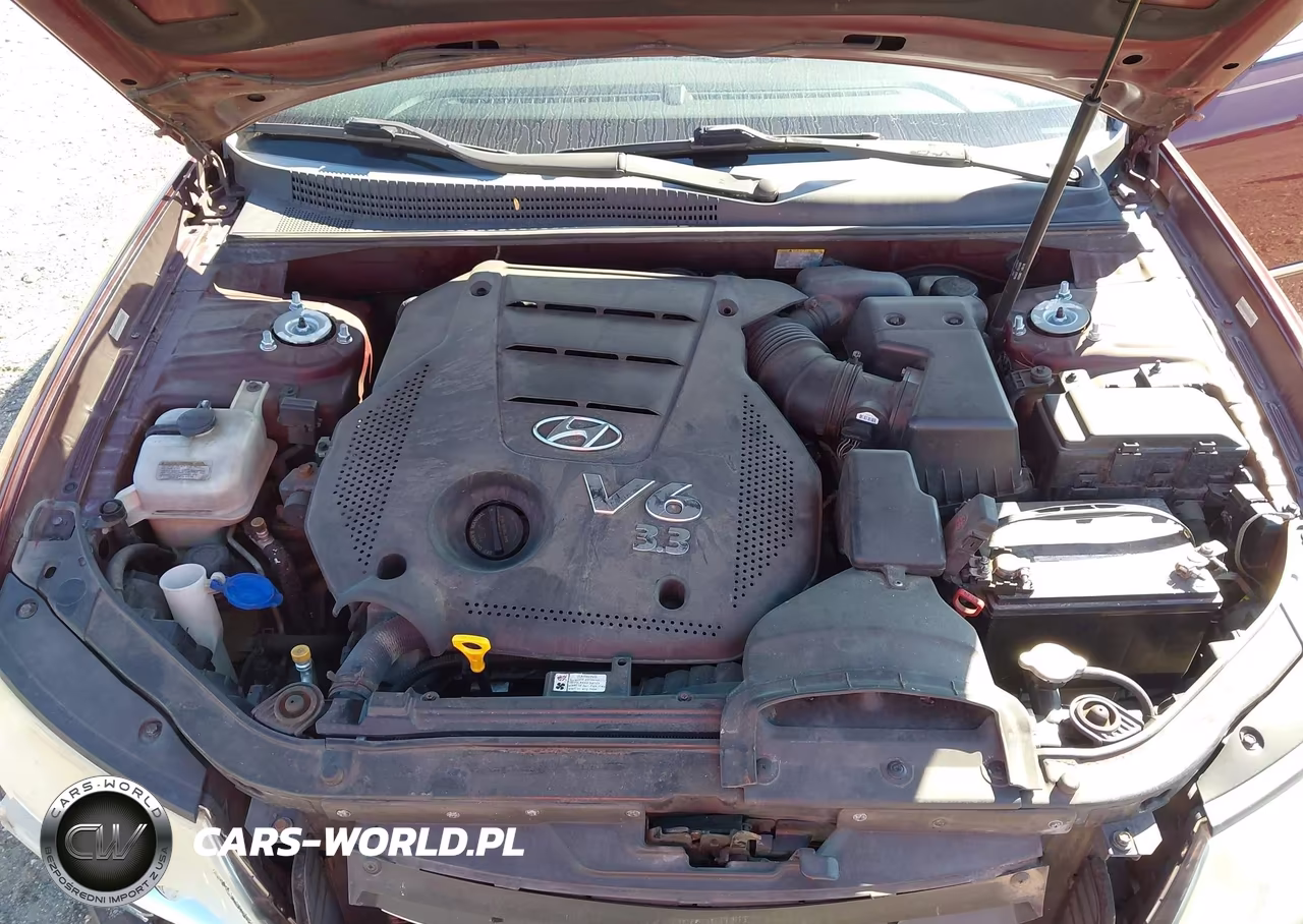 2009 Hyundai Sonata Limited V6 VIN:5NPEU46F39H412281 - 10