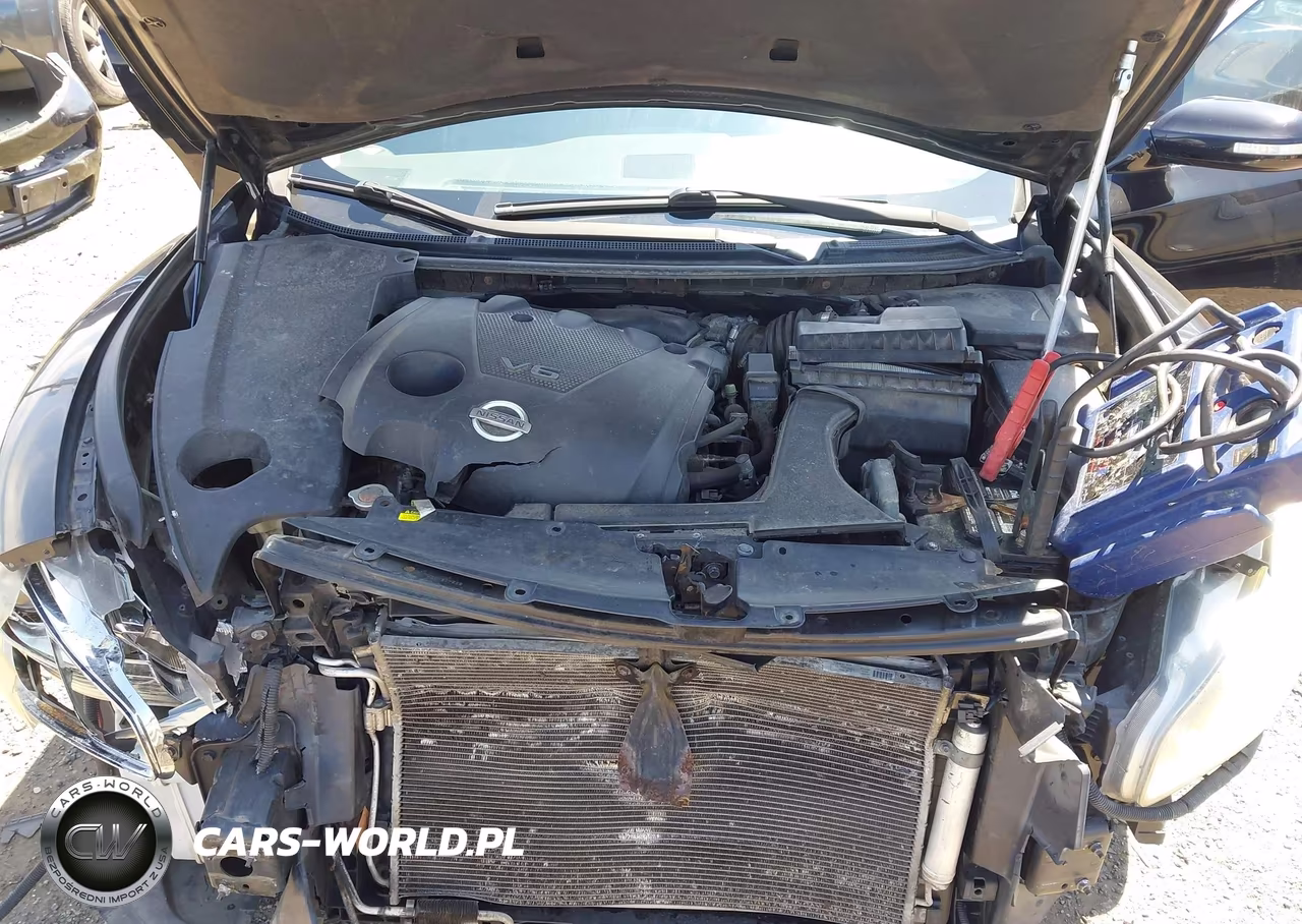 2009 Nissan Maxima 3.5 Sv VIN:1N4AA51E39C822401 - 10