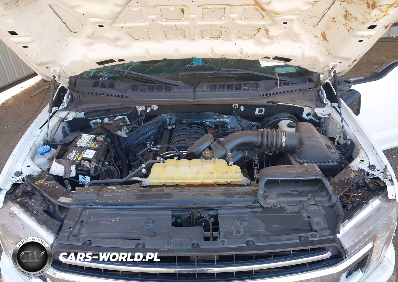 2019 Ford F-150 Xl VIN:1FTMF1C51KKD38821 - 10