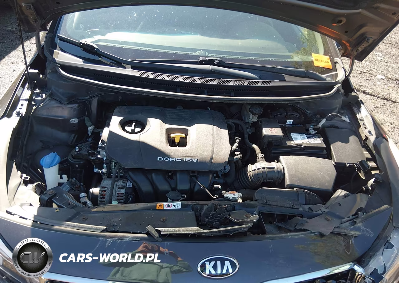 2018 Kia Forte Lx VIN:3KPFK4A77JE216315 - 10