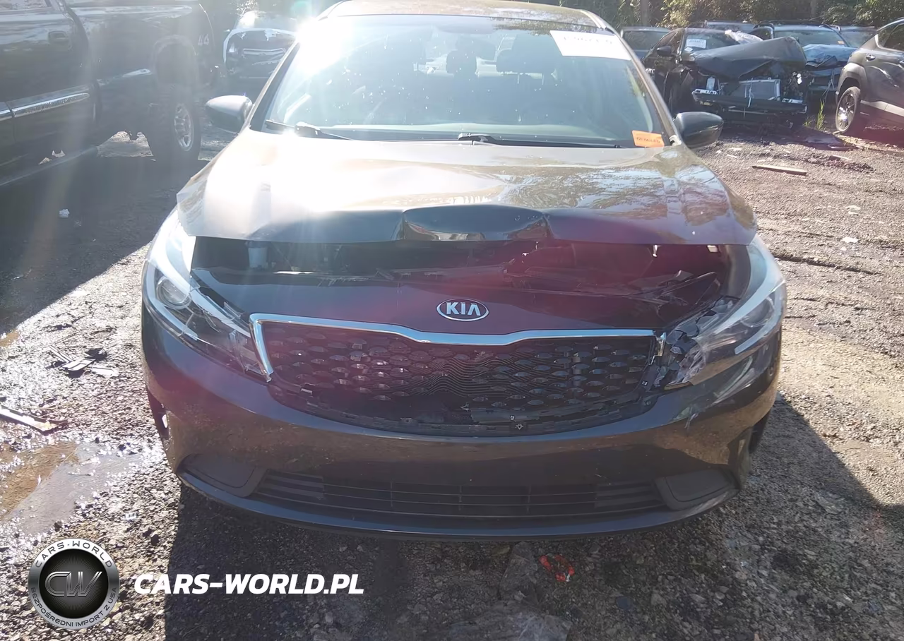 2018 Kia Forte Lx VIN:3KPFK4A77JE216315 - 12