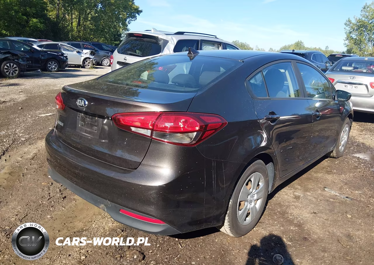 2018 Kia Forte Lx VIN:3KPFK4A77JE216315 - 4