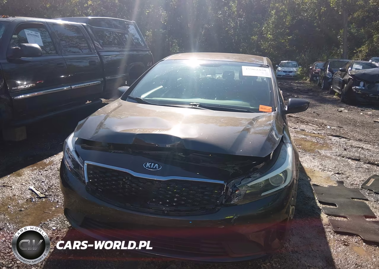 2018 Kia Forte Lx VIN:3KPFK4A77JE216315 - 6