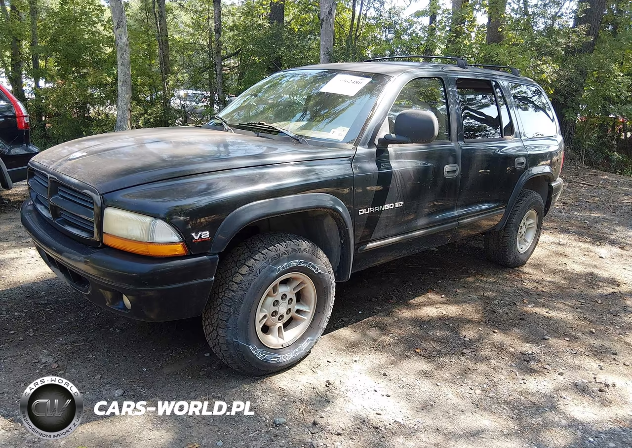 1999 Dodge Durango VIN:1B4HS28Z7XF517943 - 2