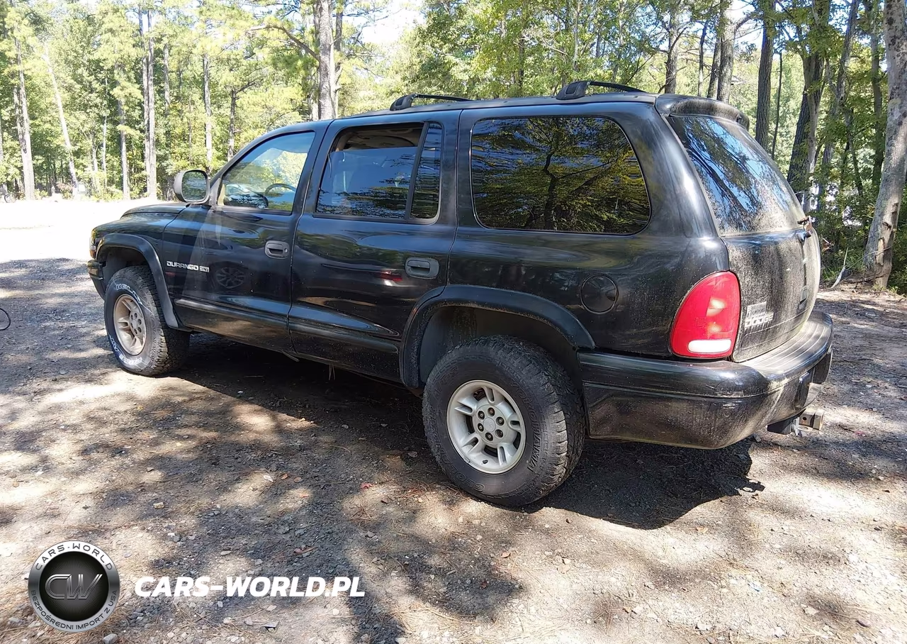 1999 Dodge Durango VIN:1B4HS28Z7XF517943 - 3