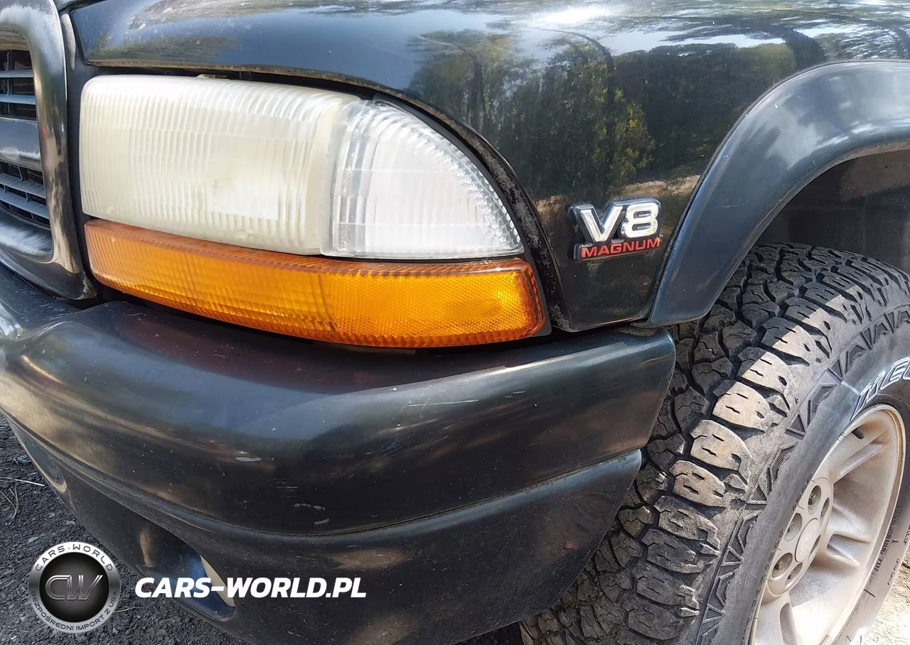 1999 Dodge Durango VIN:1B4HS28Z7XF517943 - 6