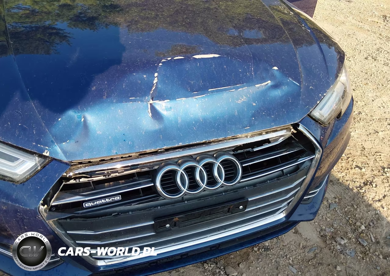 2017 Audi A4 Premium Plus VIN:WAUENAF45HN049195 - 6