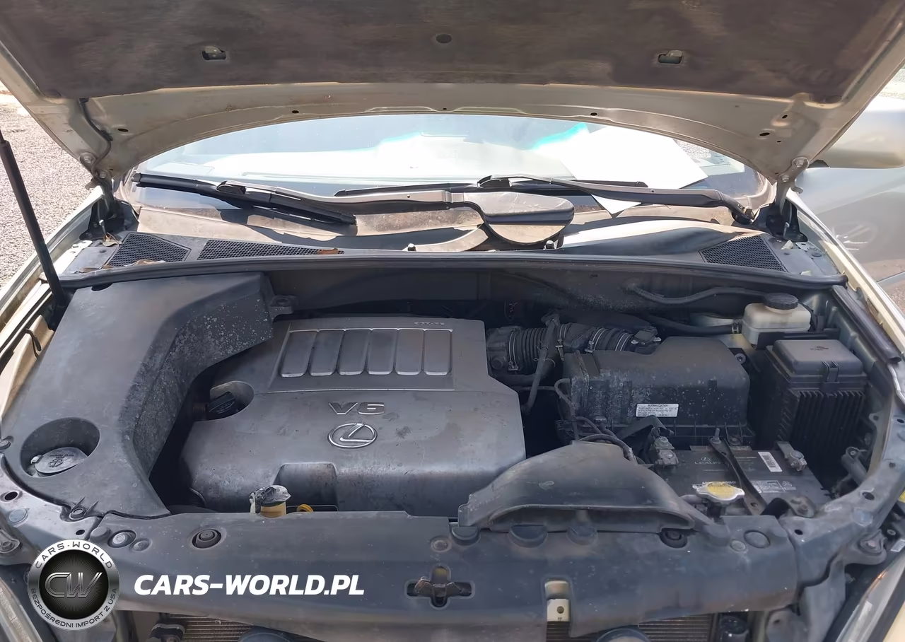 2007 Lexus Rx 350 VIN:2T2HK31U77C037249 - 10