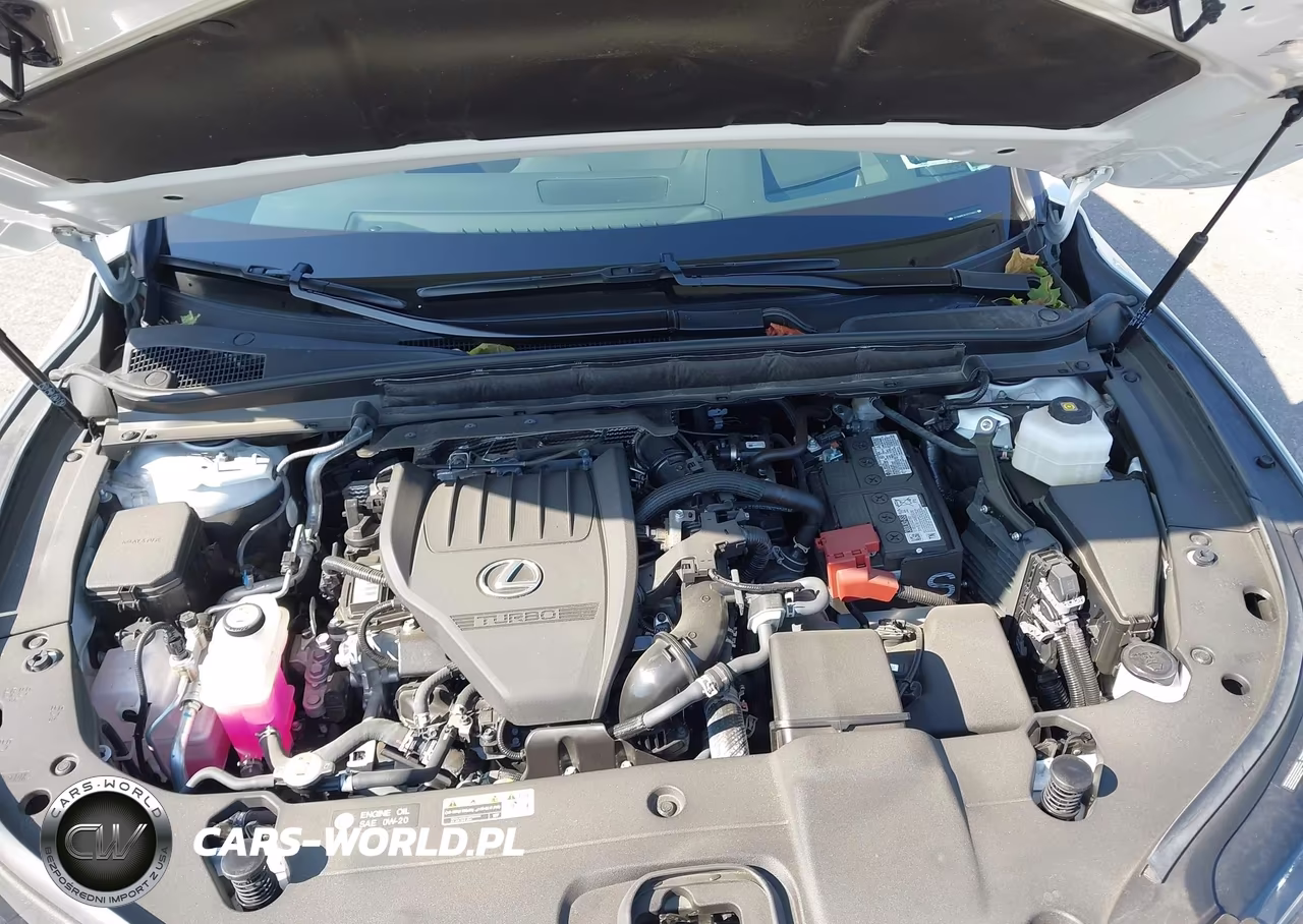 2025 Lexus Rx 350 Premium Plus VIN:2T2BAMCA5SC119457 - 10
