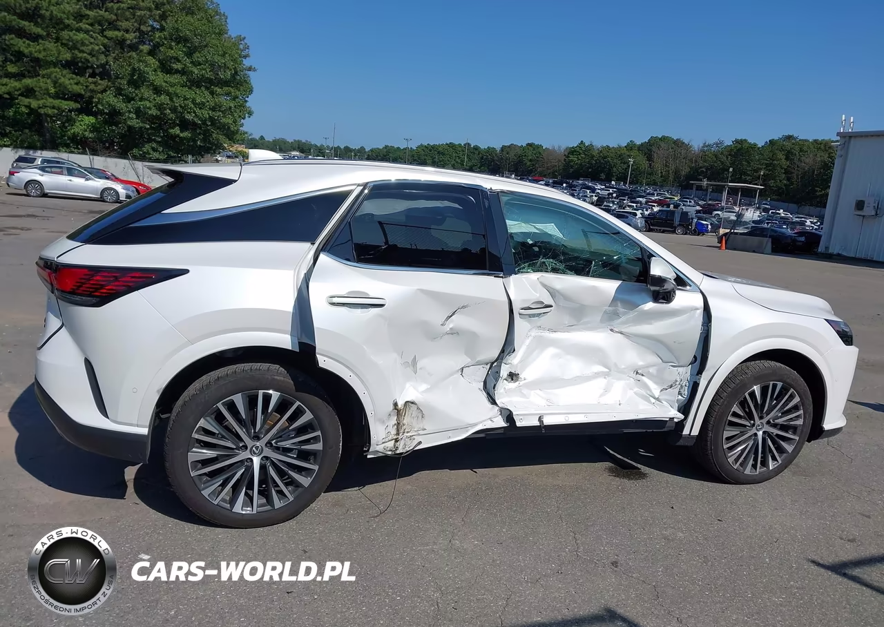 2025 Lexus Rx 350 Premium Plus VIN:2T2BAMCA5SC119457 - 13