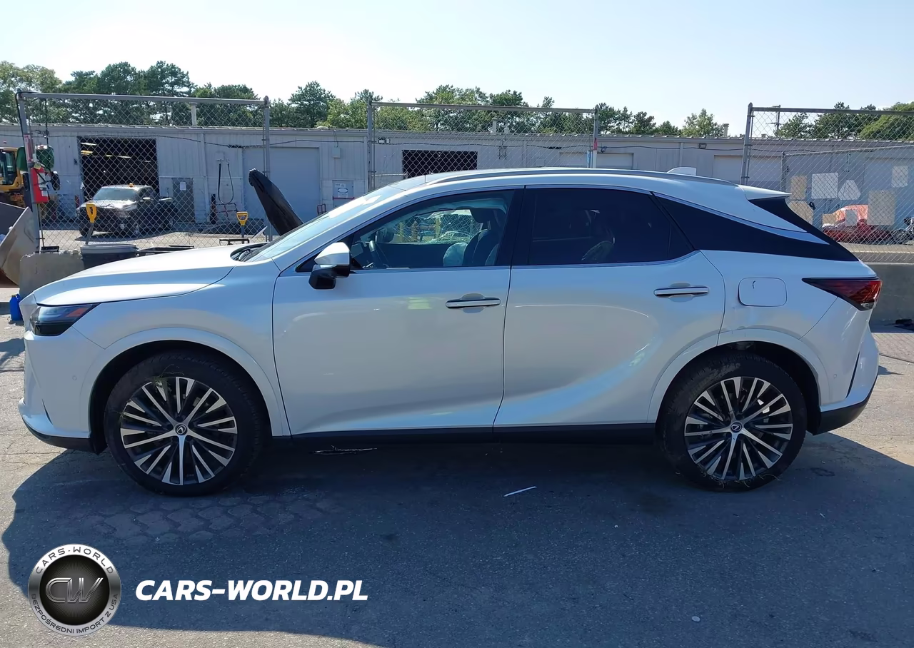 2025 Lexus Rx 350 Premium Plus VIN:2T2BAMCA5SC119457 - 14