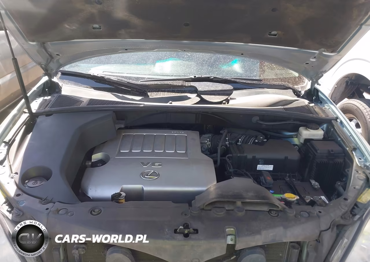2009 Lexus Rx 350 VIN:2T2GK31U39C062583 - 10