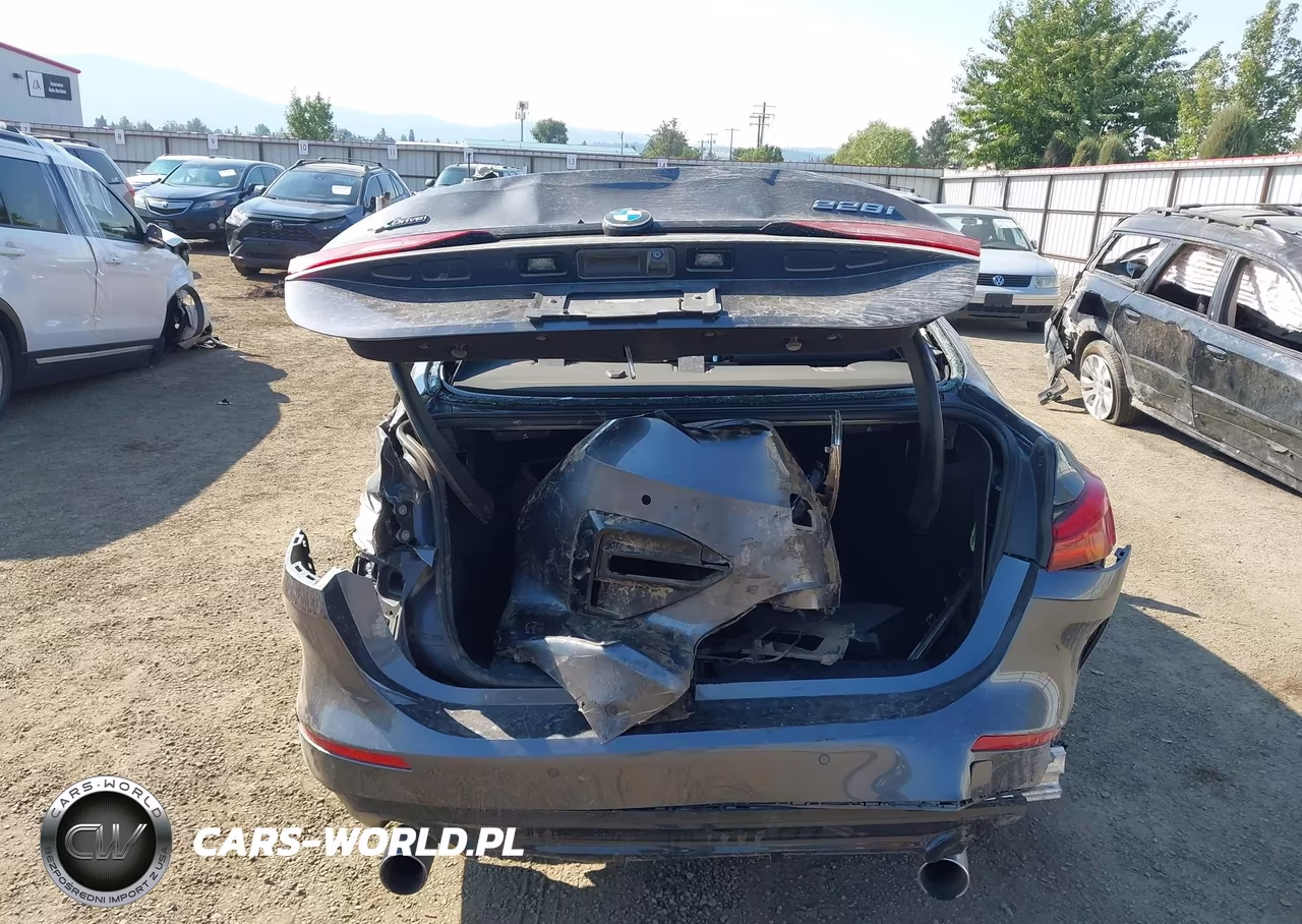 2021 BMW 228I Gran Coupe xDrive VIN:WBA73AK00M7H58300 - 16