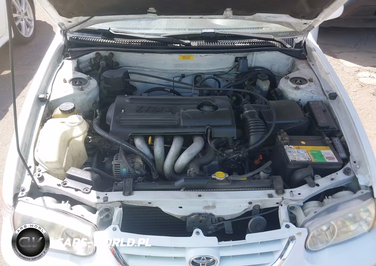 2002 Toyota Corolla Le VIN:1NXBR12EX2Z622870 - 10
