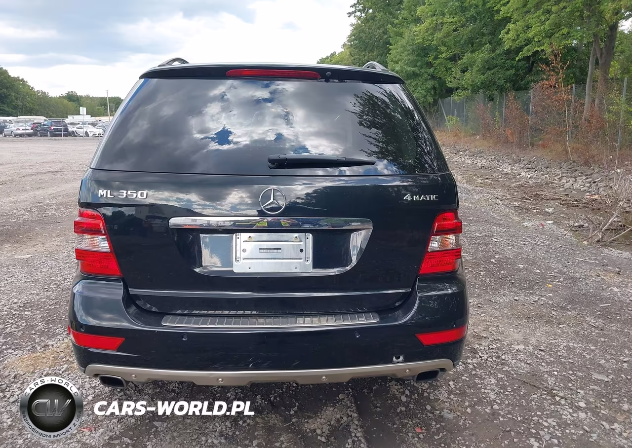 2010 Mercedes-Benz Ml 350 4Matic VIN:4JGBB8GB6AA597431 - 16