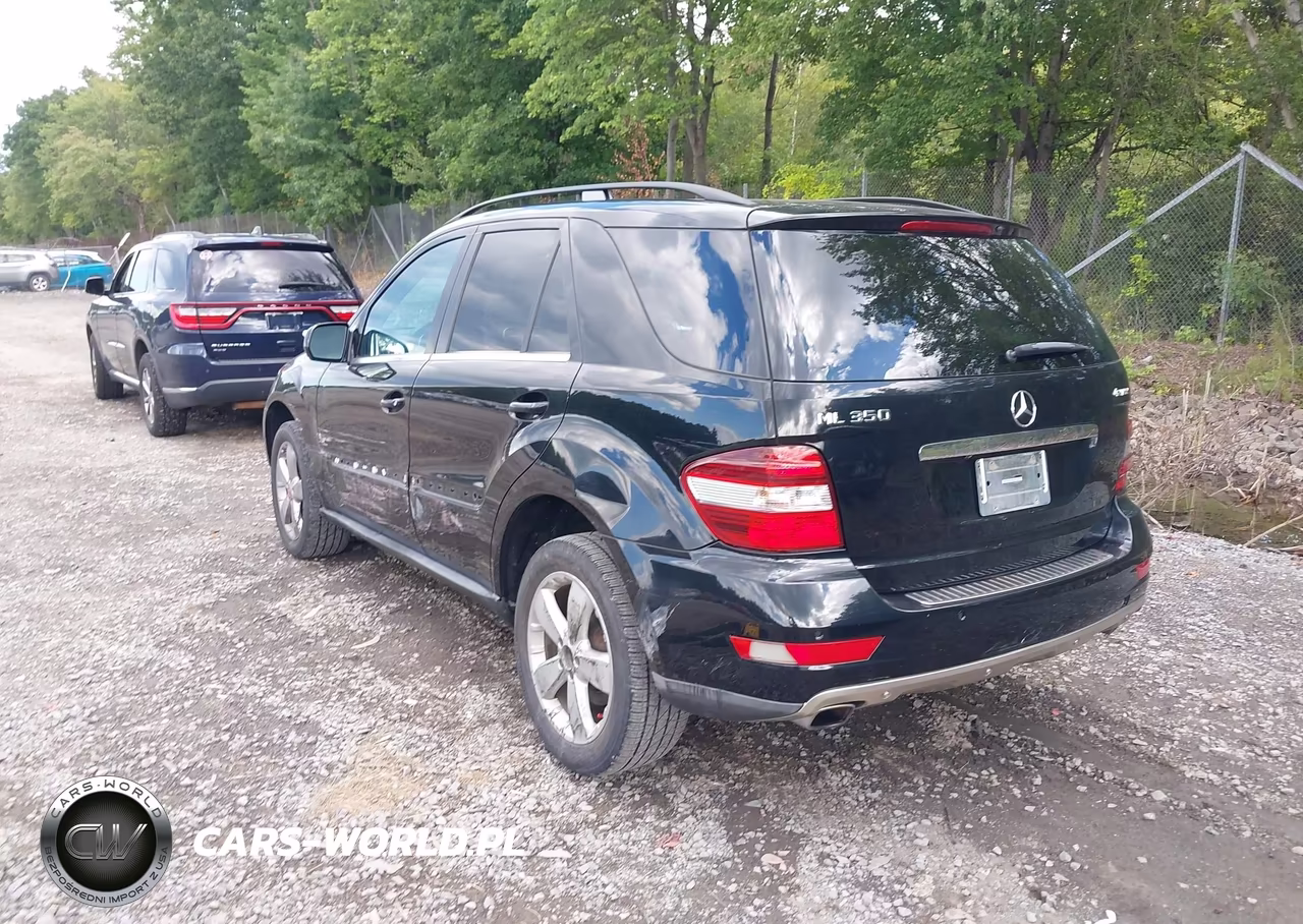 2010 Mercedes-Benz Ml 350 4Matic VIN:4JGBB8GB6AA597431 - 3