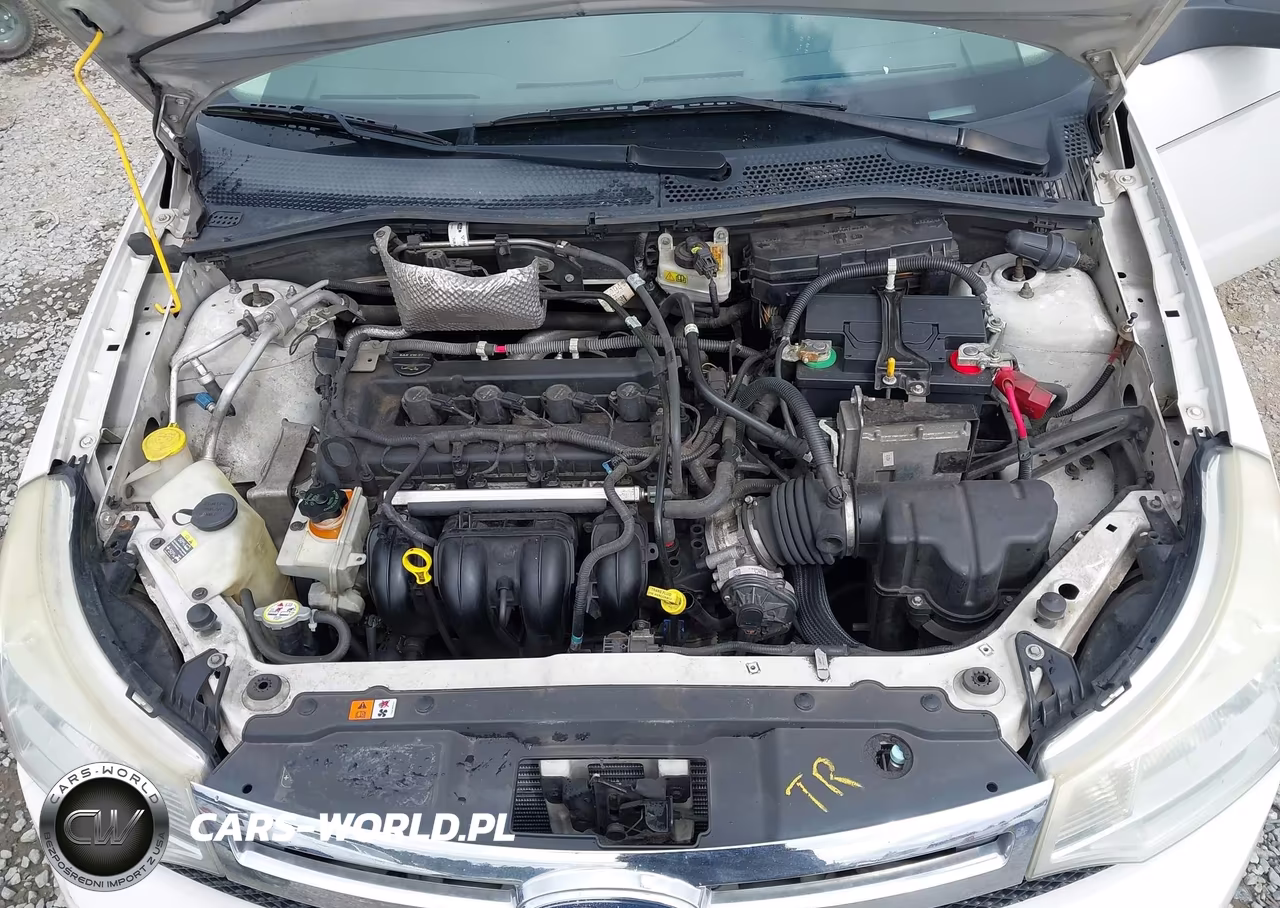 2009 Ford Focus Se VIN:1FAHP35N09W241674 - 10