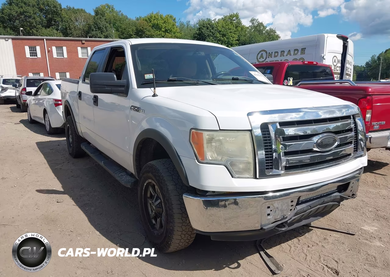 2009 Ford F-150 Fx4-King Ranch-Lariat-Platinum-Xl-Xlt