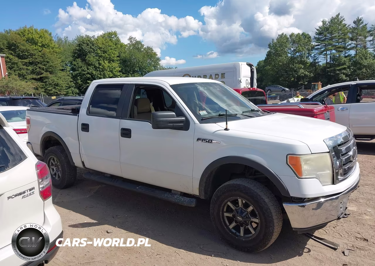 2009 Ford F-150 Fx4-King Ranch-Lariat-Platinum-Xl-Xlt VIN:1FTPW14V79KC72197 - 13