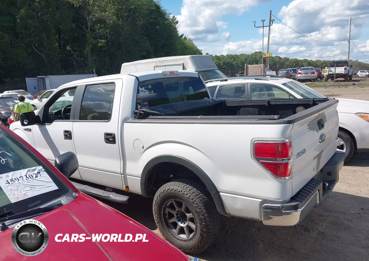 2009 Ford F-150 Fx4-King Ranch-Lariat-Platinum-Xl-Xlt VIN:1FTPW14V79KC72197 - 14