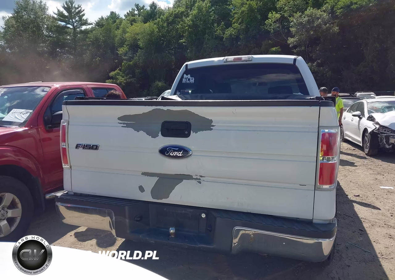 2009 Ford F-150 Fx4-King Ranch-Lariat-Platinum-Xl-Xlt VIN:1FTPW14V79KC72197 - 16