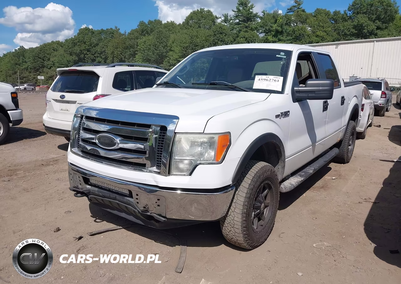 2009 Ford F-150 Fx4-King Ranch-Lariat-Platinum-Xl-Xlt VIN:1FTPW14V79KC72197 - 2