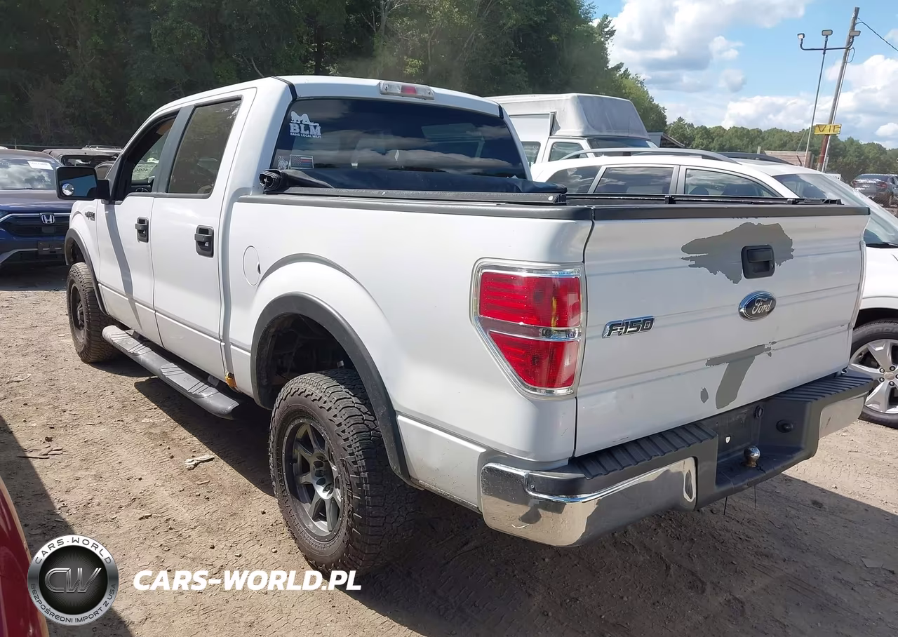 2009 Ford F-150 Fx4-King Ranch-Lariat-Platinum-Xl-Xlt VIN:1FTPW14V79KC72197 - 3