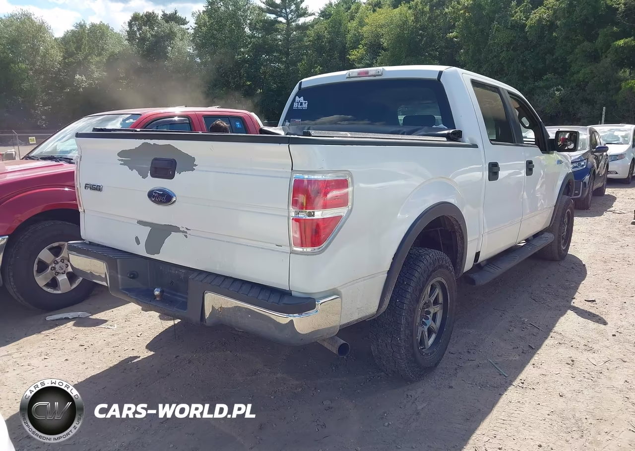 2009 Ford F-150 Fx4-King Ranch-Lariat-Platinum-Xl-Xlt VIN:1FTPW14V79KC72197 - 4