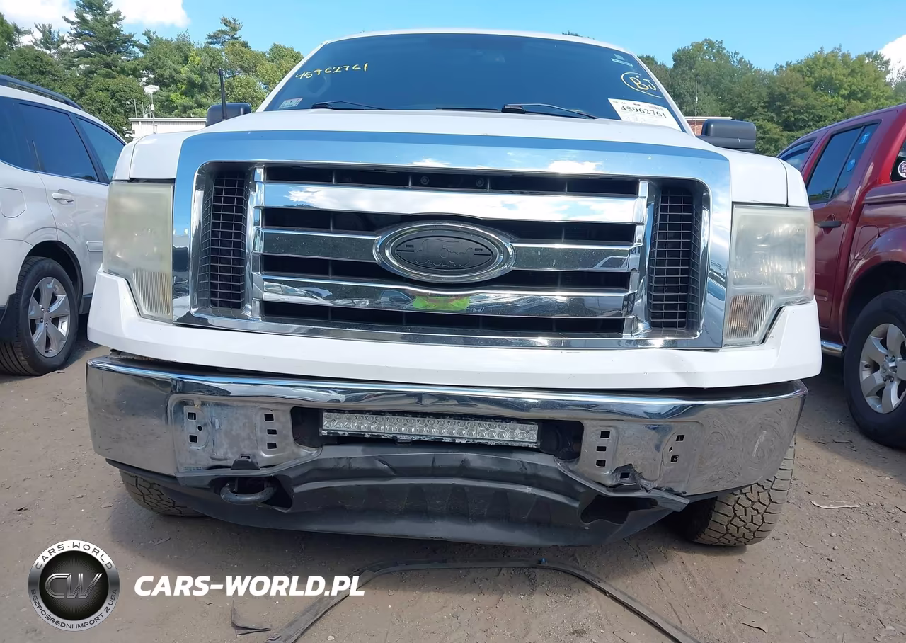 2009 Ford F-150 Fx4-King Ranch-Lariat-Platinum-Xl-Xlt VIN:1FTPW14V79KC72197 - 6