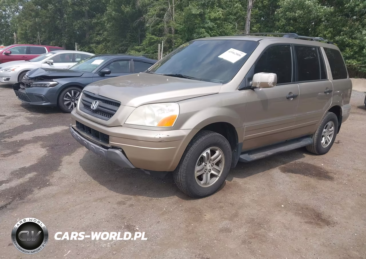 2005 Honda Pilot Ex VIN:5FNYF18405B008607 - 2