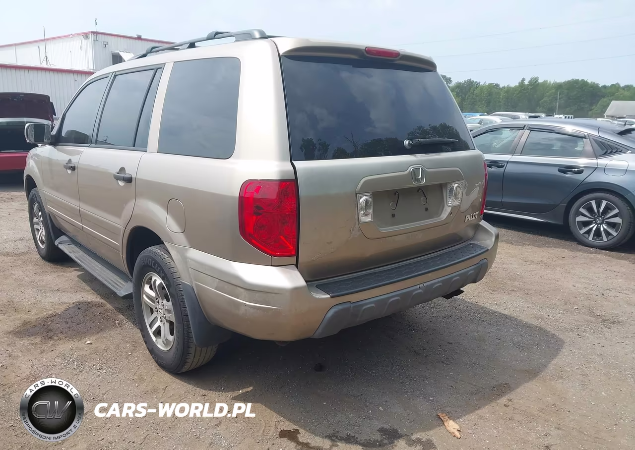2005 Honda Pilot Ex VIN:5FNYF18405B008607 - 3
