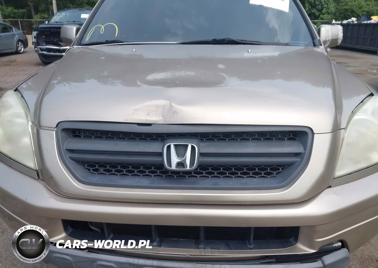 2005 Honda Pilot Ex VIN:5FNYF18405B008607 - 6