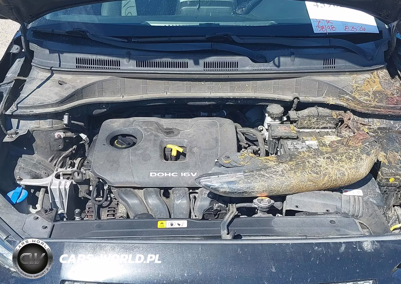 2018 Hyundai Kona Sel VIN:KM8K6CAA1JU127801 - 10