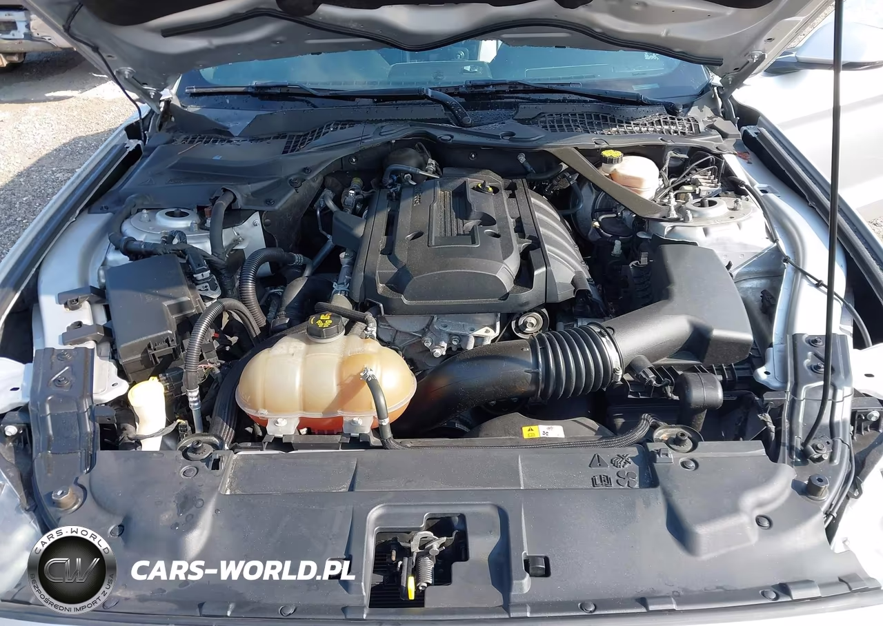 2018 Ford Mustang Ecoboost Premium VIN:1FATP8UH2J5124143 - 10