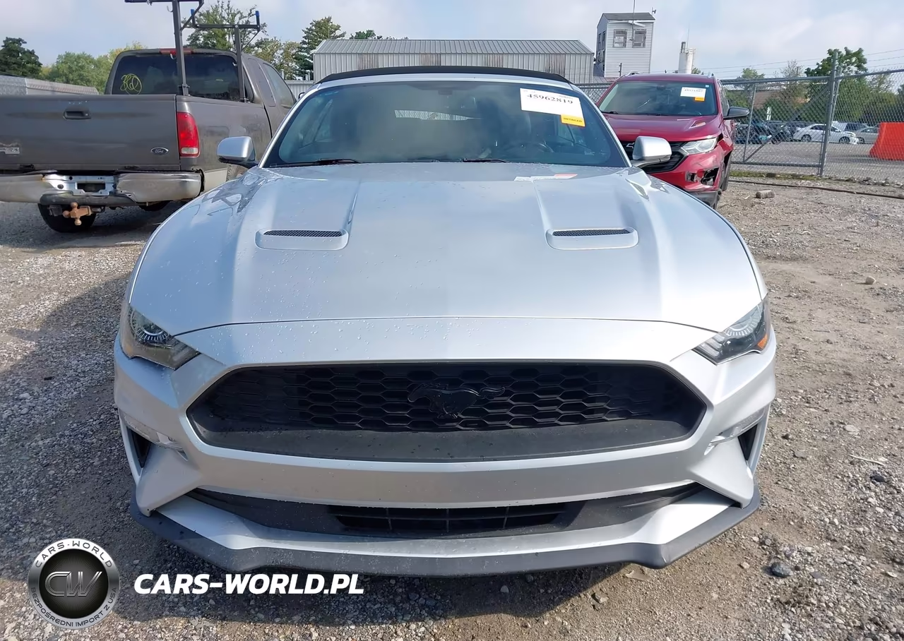 2018 Ford Mustang Ecoboost Premium VIN:1FATP8UH2J5124143 - 12