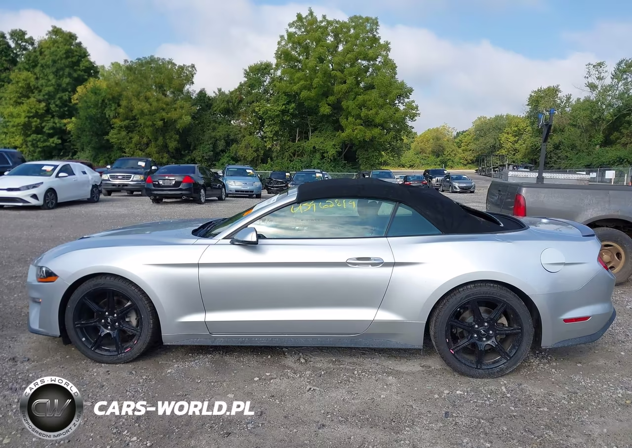 2018 Ford Mustang Ecoboost Premium VIN:1FATP8UH2J5124143 - 14