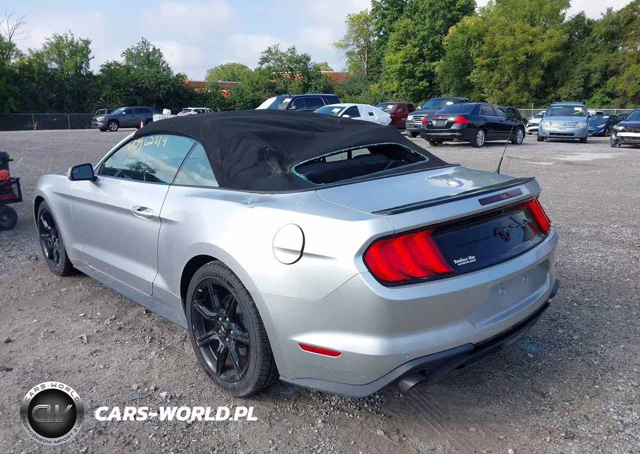 2018 Ford Mustang Ecoboost Premium VIN:1FATP8UH2J5124143 - 3