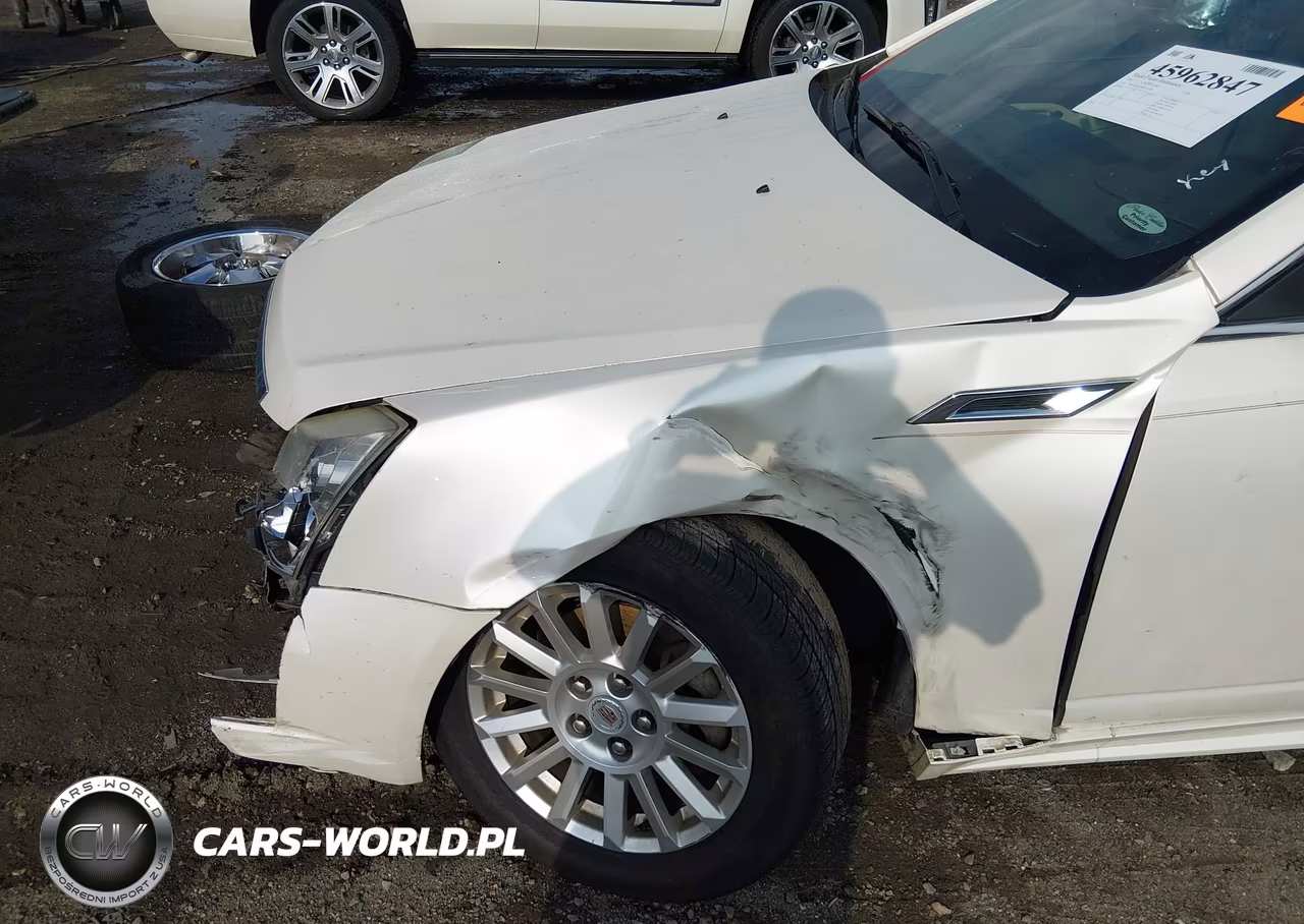 2011 Cadillac Cts Luxury VIN:1G6DE5EY7B0104196 - 19