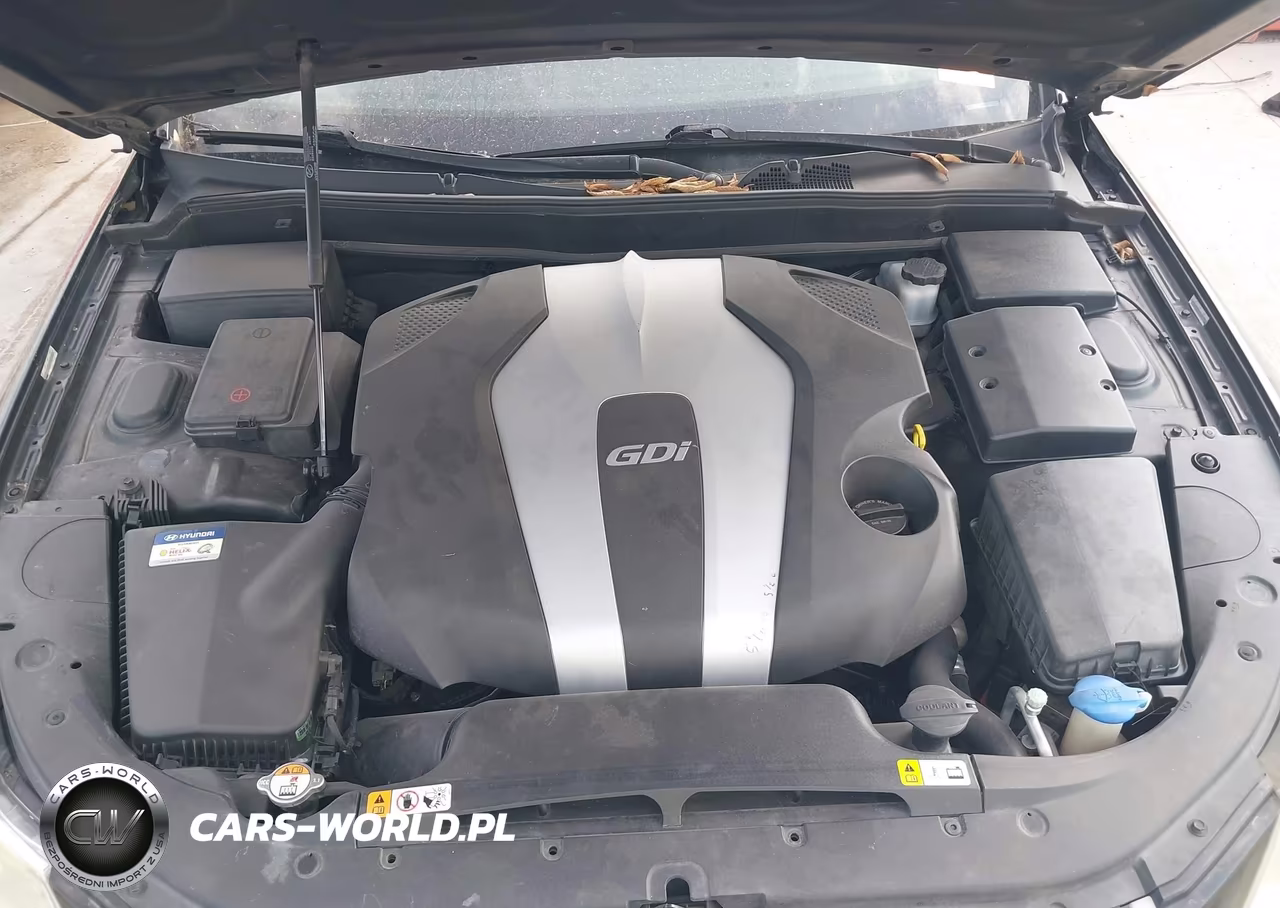 2013 Hyundai Genesis 3.8 VIN:KMHGC4DD9DU226199 - 10