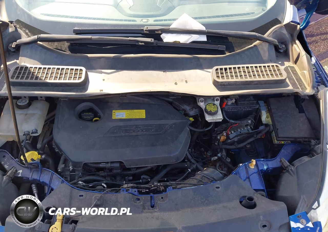 2015 Ford Escape Se VIN:1FMCU0GX0FUB03081 - 10