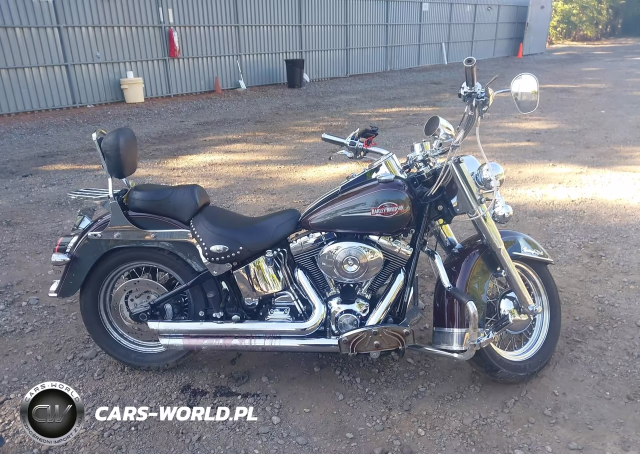 2005 Harley-Davidson Flstci VIN:1HD1BWB195Y089551 - 11