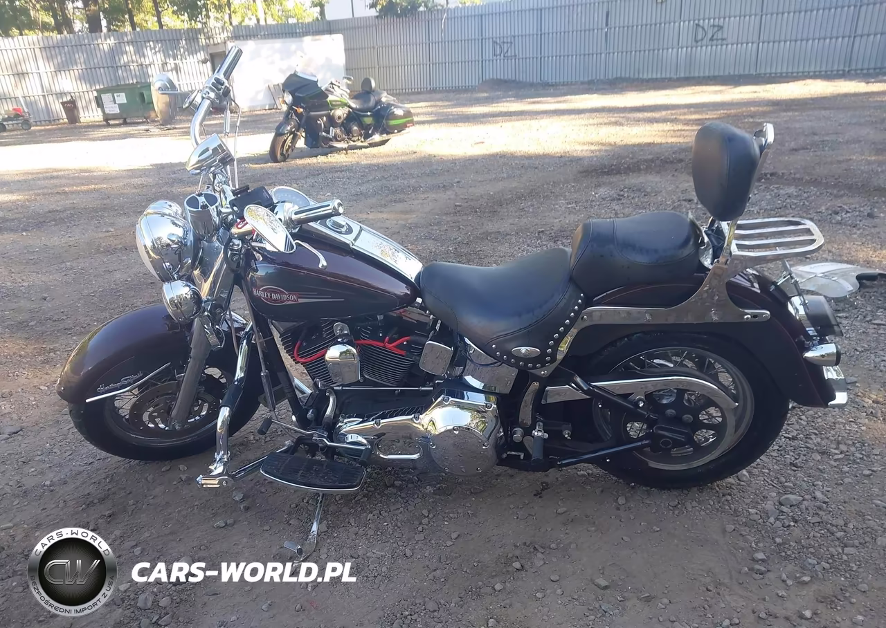 2005 Harley-Davidson Flstci VIN:1HD1BWB195Y089551 - 12