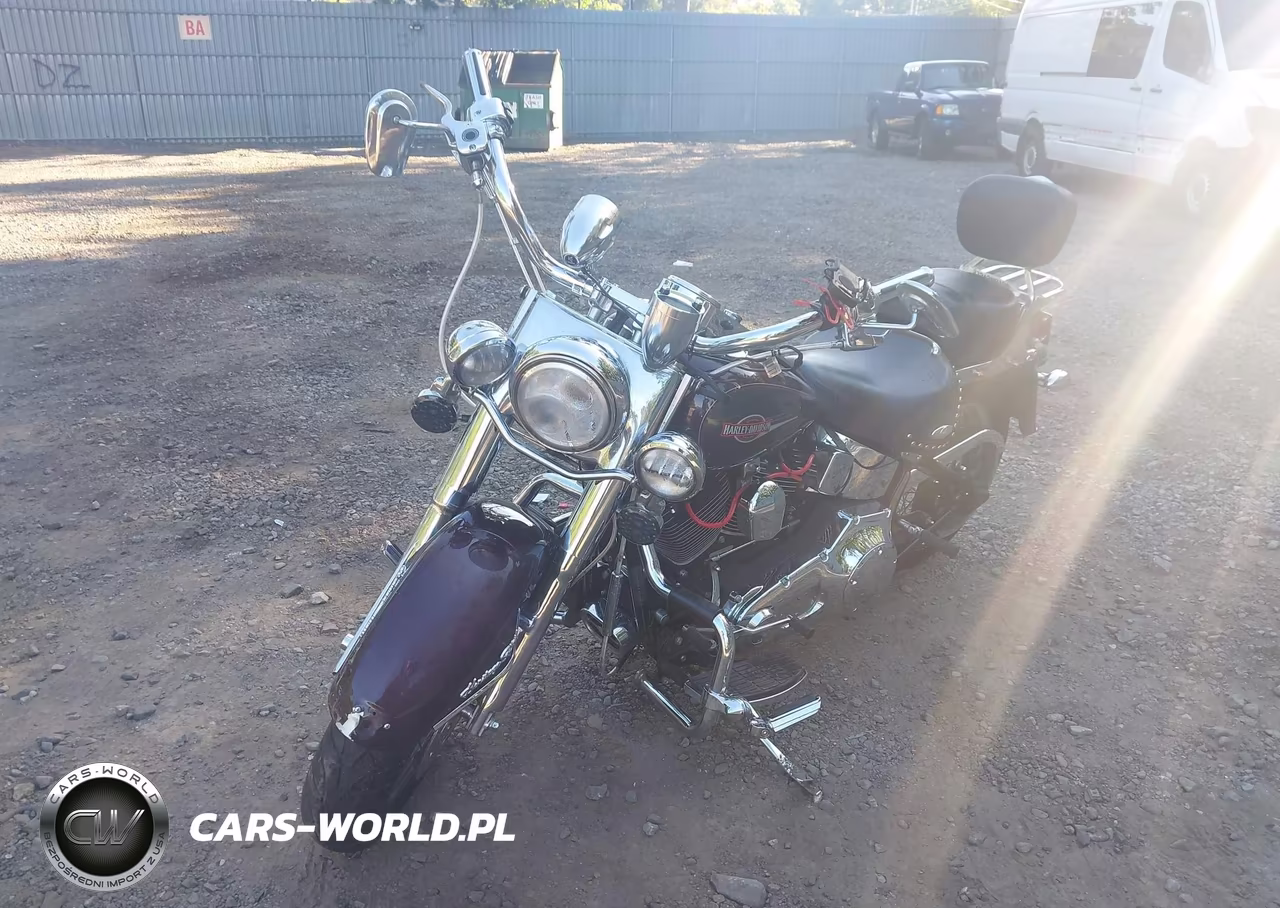 2005 Harley-Davidson Flstci VIN:1HD1BWB195Y089551 - 2